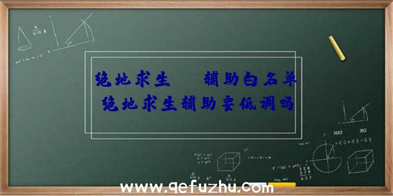 「绝地求生skt辅助白名单」|绝地求生辅助要低调吗